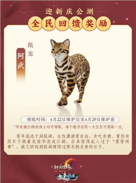 轩辕天龙八部 私服